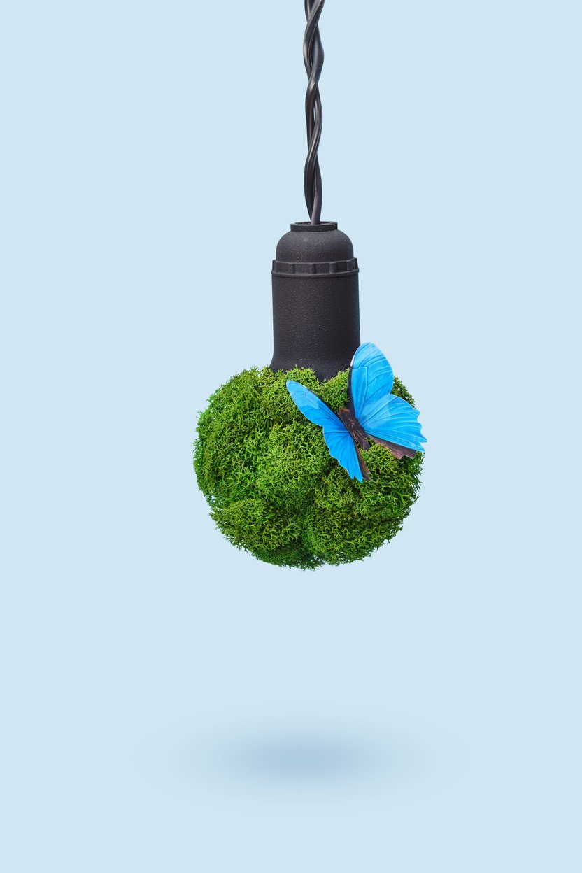 Green Energy Concept. Light Bulb Made from Green Plants with Blue Butterfly as Symbol of Pure Nature without Polluting Waste